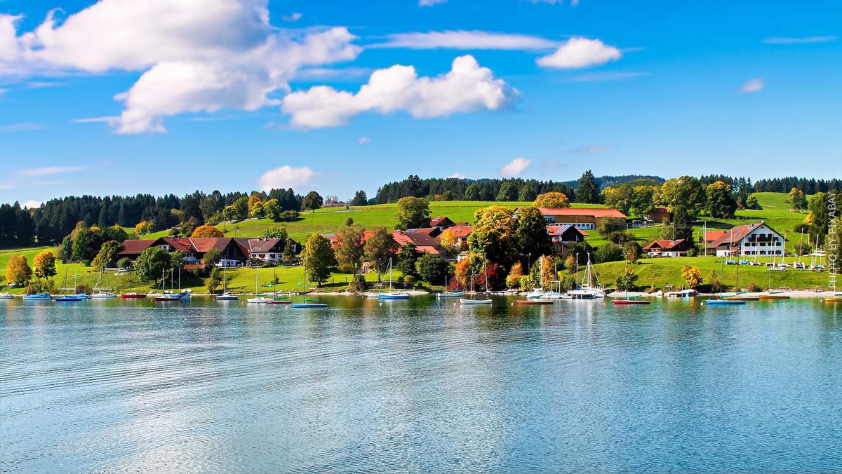 Une prise de vue panoramique du lac avec la rive boisée en arrière-plan.