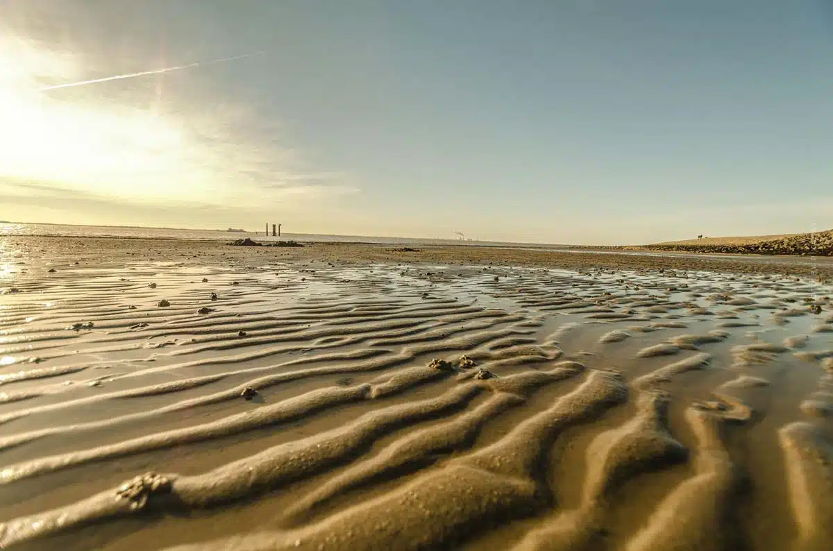 Des sillons ont été creusés dans une plage par les marées.