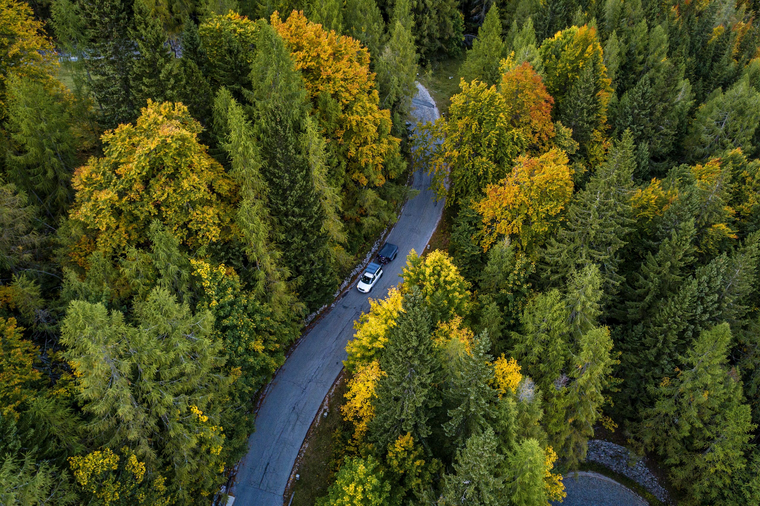 Un attelage composé d’une voiture et d’une tente de toit roule sur une route forestière sinueuse. Les remorques de 750&nbsp;kg peuvent être tractées avec un permis de conduire de classe B. Cela comprend également la plupart des tentes de toit.